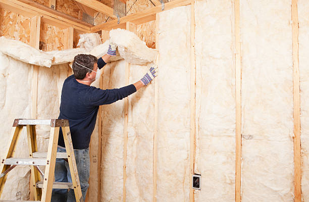 Best Reflective Insulation in Dundee, FL